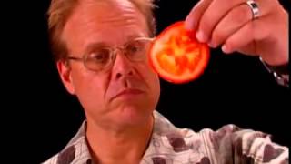 Shun Knife Anatomy  Alton Brown Shares why Shun Knives are His Favorite [upl. by Orelie566]