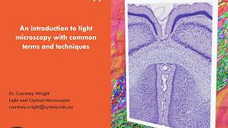 Intro to Light Microscopy 1 Microscopy Basics [upl. by Orelia]