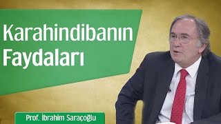 Karahindibanın Mucizevi Faydaları  Prof İbrahim Saraçoğlu [upl. by Demahom520]