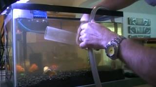 10 Gallon Aqarium Cleaning Tutorial Episode 5 [upl. by Eiro199]