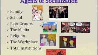 Socialization Lecture [upl. by Ecyaj]