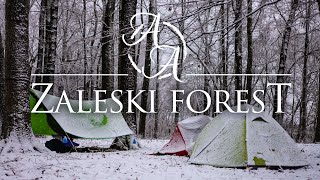 Winter Backpacking and Cozy Campfire Cooking  Zaleski State Forest 4K [upl. by Neff]