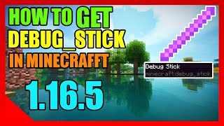 How To Get The Debug Stick In Minecraft 1165 [upl. by Latreese686]