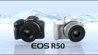 Introducing the Canon EOS R50 [upl. by Martino]