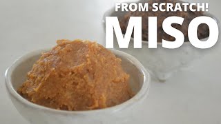 How to make ★Homemade MISO★from scratch～みその作り方～（EP79） [upl. by Dinnage]