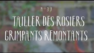 Tailler des rosiers grimpants [upl. by Rosetta]