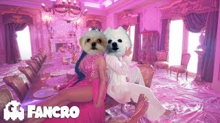 KAROL G Nicki Minaj  Tusa Cover Perros [upl. by Trubow]