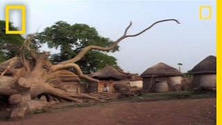 Ghanaian Witches  National Geographic [upl. by Lichter429]