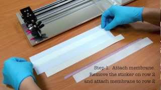 Rapid Test Immunoassay Membrane tutorial [upl. by Nerval]