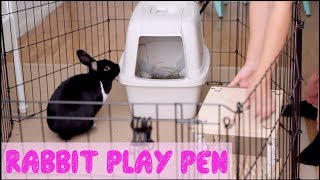 How To Set Up A Rabbit Play Pen [upl. by Aerdno]