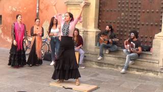 Flamenco dance 1 in Granada 2015 [upl. by Quintana995]