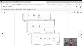 Excel Module 3 [upl. by Brunn]