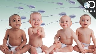 The Disturbing Truth About Sperm Banks [upl. by Kamerman]