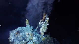 What are hydrothermal vents [upl. by Faun513]