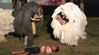 Barong Situbondo Indonesia [upl. by Airdua]