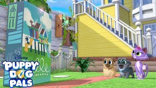 Boxing Day  Playtime with Puppy Dog Pals  Disney Junior [upl. by Kahcztiy392]