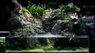 PALUDARIUM Rainforest Experience  REAL WATERFALL and Monumental Hardscape [upl. by Rehpotsirhcnhoj65]