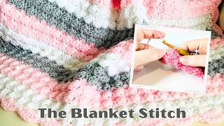 How to Crochet the Blanket Stitch EASY Crochet Tutorial [upl. by Page]