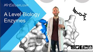 Enzymes Part 2  Inhibition  A Level Biology [upl. by Jessica]