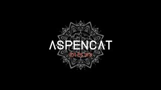 ASPENCAT  Seguim en peu [upl. by Ellebasi326]