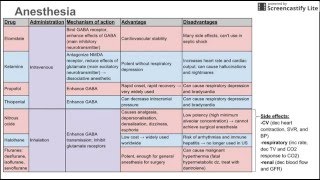 Anesthetics [upl. by Kovacs]