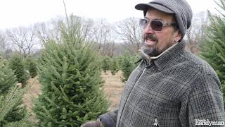 Tips for Cutting Down Your Own Christmas Tree [upl. by Yerhpmuh]