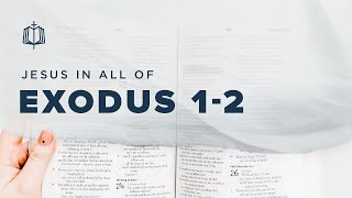 Exodus 12  Suffering in Egypt  Bible Study [upl. by Nims]