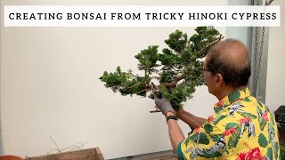 Creating Bonsai from A Tricky Hinoki Cypress [upl. by Plerre]