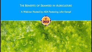 The Benefits of Seaweed in Agriculture [upl. by Nnaycart]