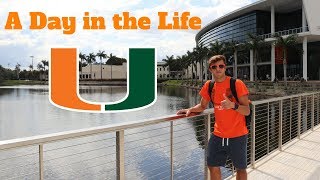 A DAY IN THE LIFE AT THE UNIVERSITY OF MIAMI [upl. by Kizzee102]