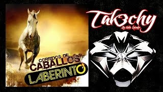 Laberinto  Corridos de Caballos Audio EpicENTER [upl. by Dearborn]