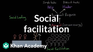 Social facilitation and social loafing  Behavior  MCAT  Khan Academy [upl. by Ardeed]