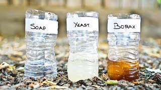 3 DIY Mosquito Trap Comparison Yeast vs Soap vs Borax [upl. by Nroht]