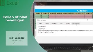 Excel  Cellen of blad beveiligen [upl. by Fellner]