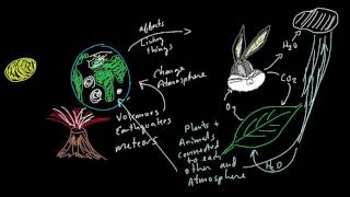 Gaia Hypothesis Theory [upl. by Basilio]