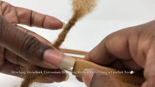 Attaching Dreadlock Extensions and Reattaching Locs Using a Crochet Needle [upl. by Eliathas]