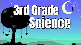 3rd Grade Science Compilation [upl. by Nesta761]