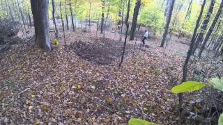 Planting Ginseng in Forests [upl. by Llennyl681]