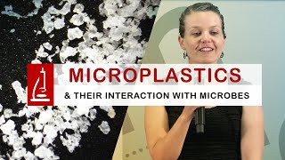 Microplastics in the Water and their Interaction with Microbes [upl. by Ayit655]