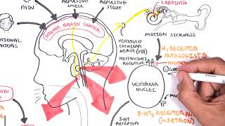 Pharmacology  Antiemetics [upl. by Brandea]