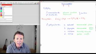 71 Koolhydraten  scheikunde  Scheikundelessennl [upl. by Atiniv]