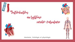 Introduction au système cardiovasculaire [upl. by Downey]