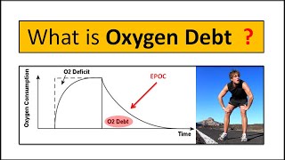 What is Oxygen Debt  Explained in Detail with Easy Examples  What is EPOC [upl. by Anaek]