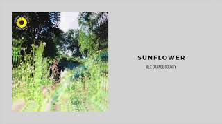 Rex Orange County  Sunflower 1 Hour Loop [upl. by Gustave]