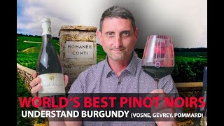 Finest Burgundy Wines  Your Guide to Top Pinot Noirs  VosneRomanée Pommard GevreyChambertin [upl. by Nyletac]